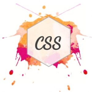 css چیست