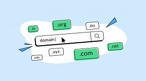 domain article
